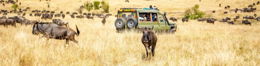 Kenia-y-Tanzania- Festival Tours