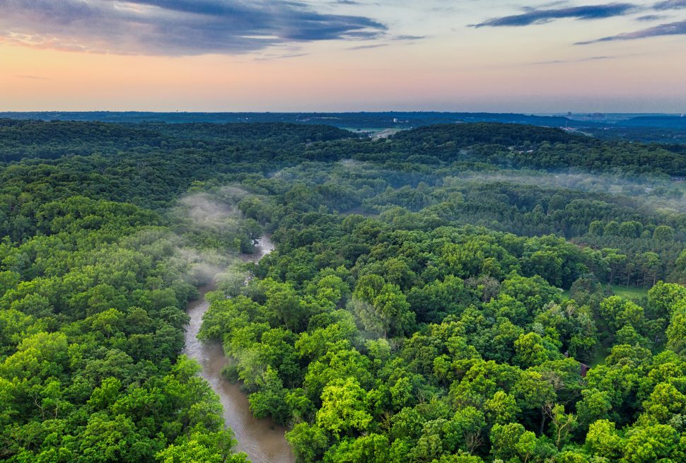 Viaja al Amazonas - Festival Tours