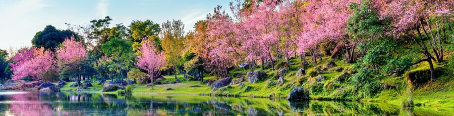 Japón - Festival Tours