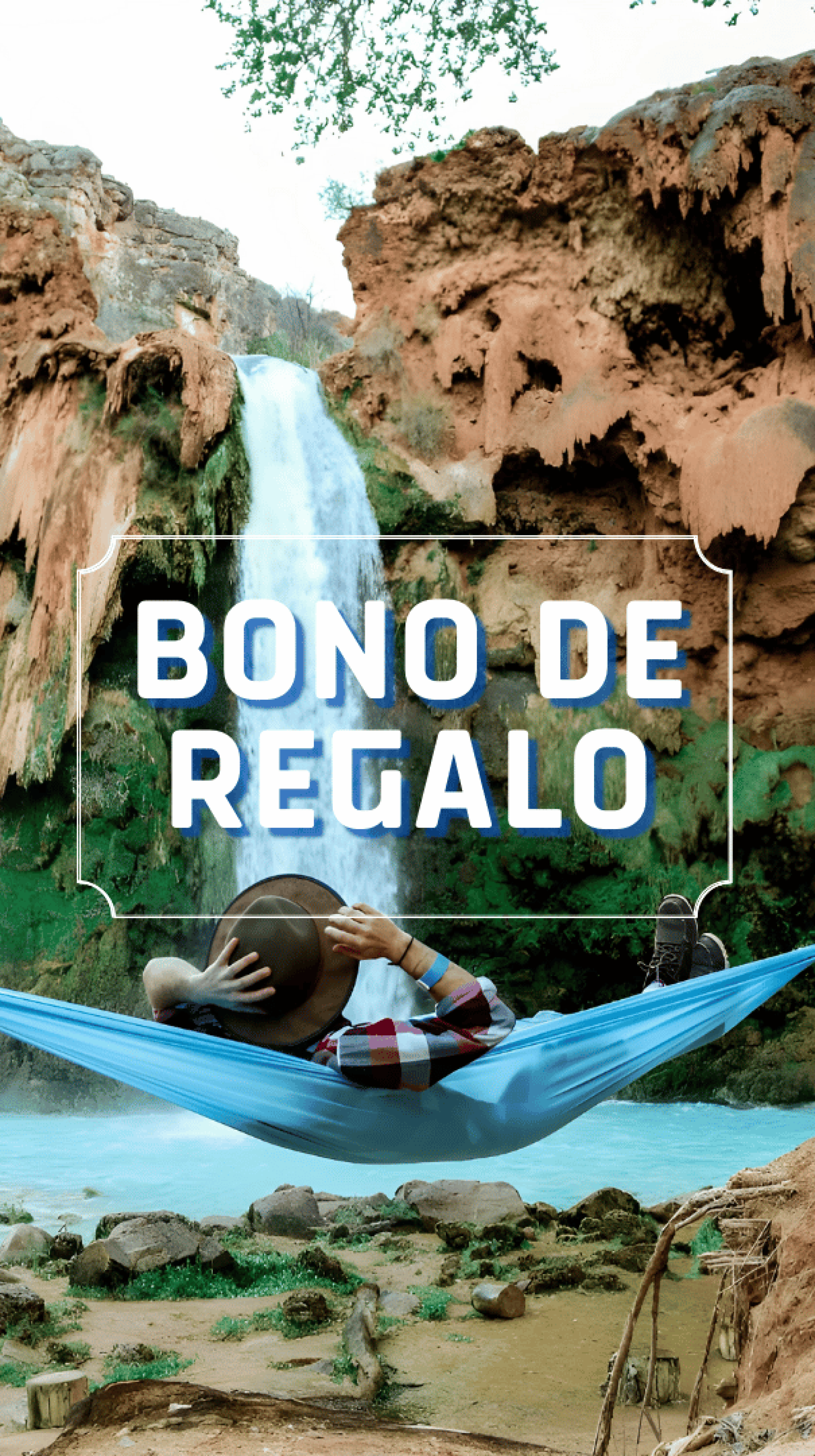 Bono-de-regalo Festival Tours